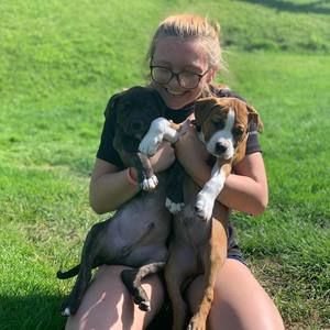 Meet your Posher, Bryce